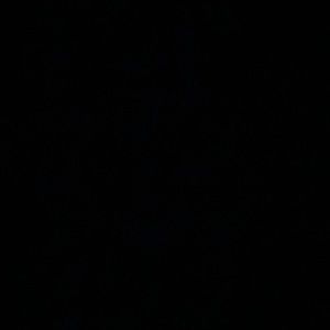 Meet your Posher, Rica